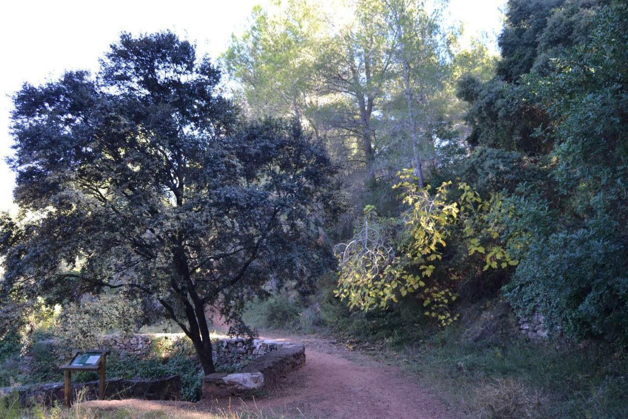 La Coveta Rural *